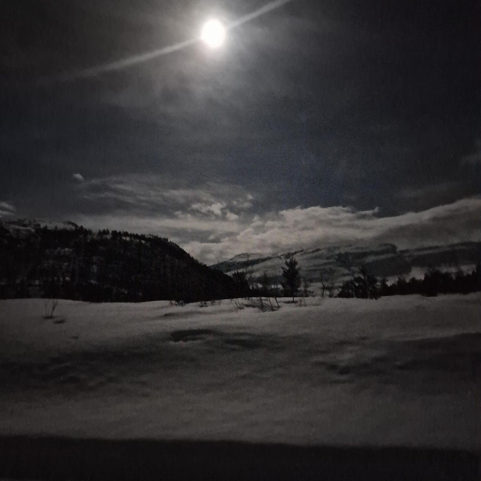 Kvamskogen & Hardanger Holliday Homes Norheimsund Exteriér fotografie