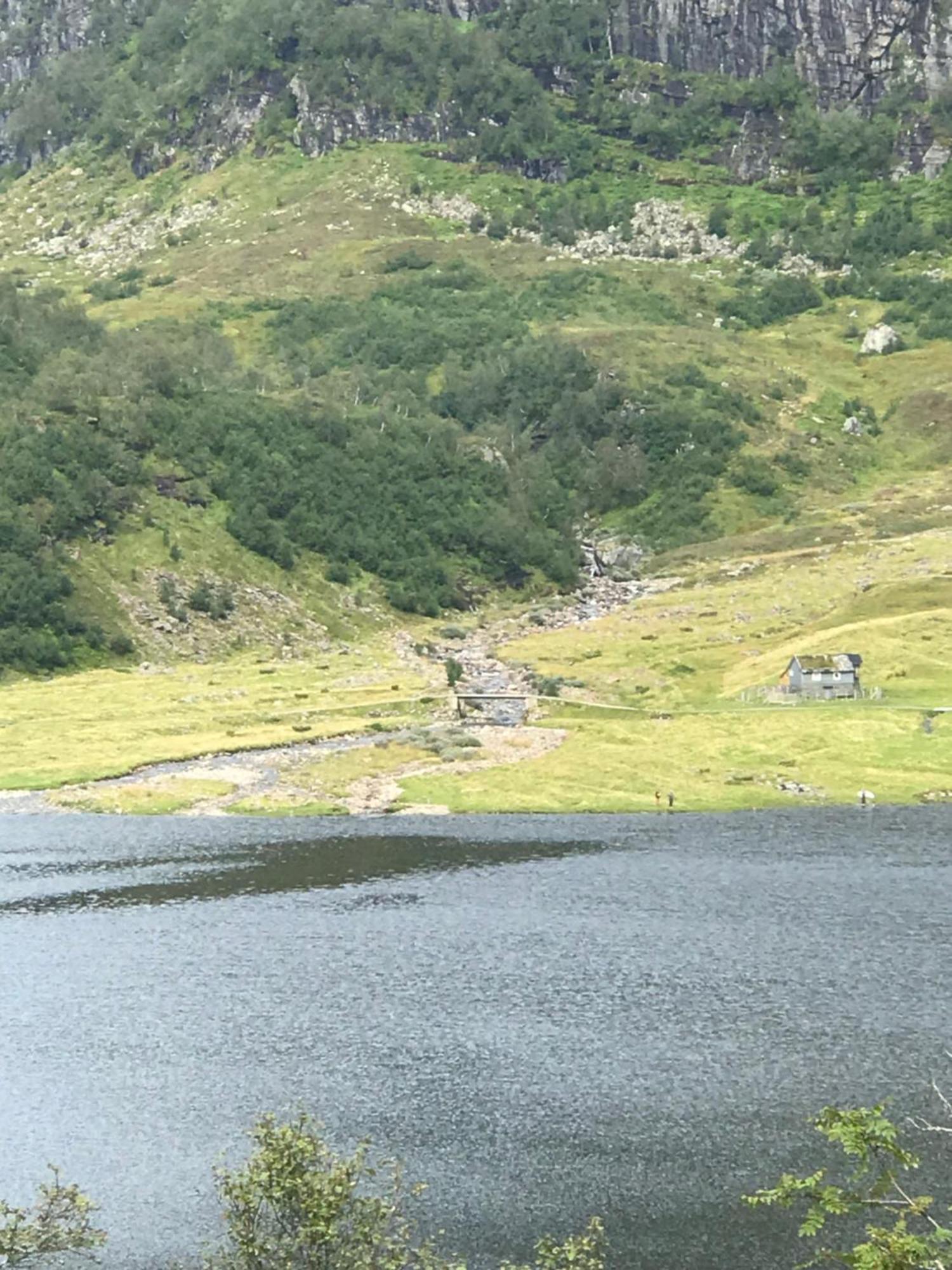 Kvamskogen & Hardanger Holliday Homes Norheimsund Exteriér fotografie
