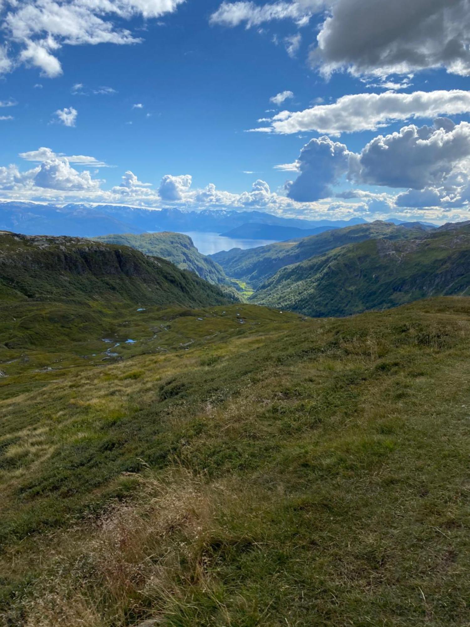 Kvamskogen & Hardanger Holliday Homes Norheimsund Exteriér fotografie